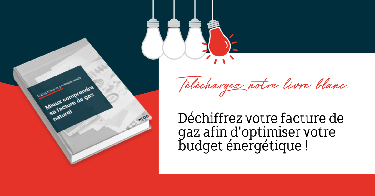 Télécharger Le Guide : Mieux Comprendre Votre Facture De Gaz Naturel